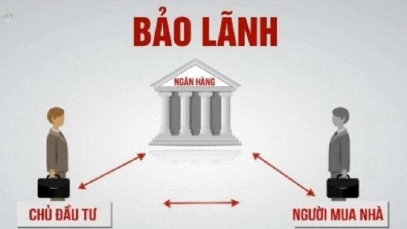 Tin tức & Giá trị cốt lõi