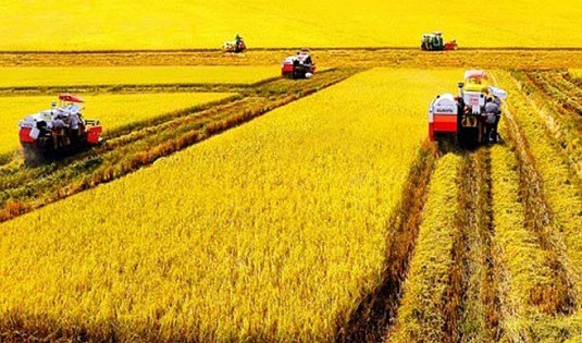 Tin tức & Giá trị cốt lõi