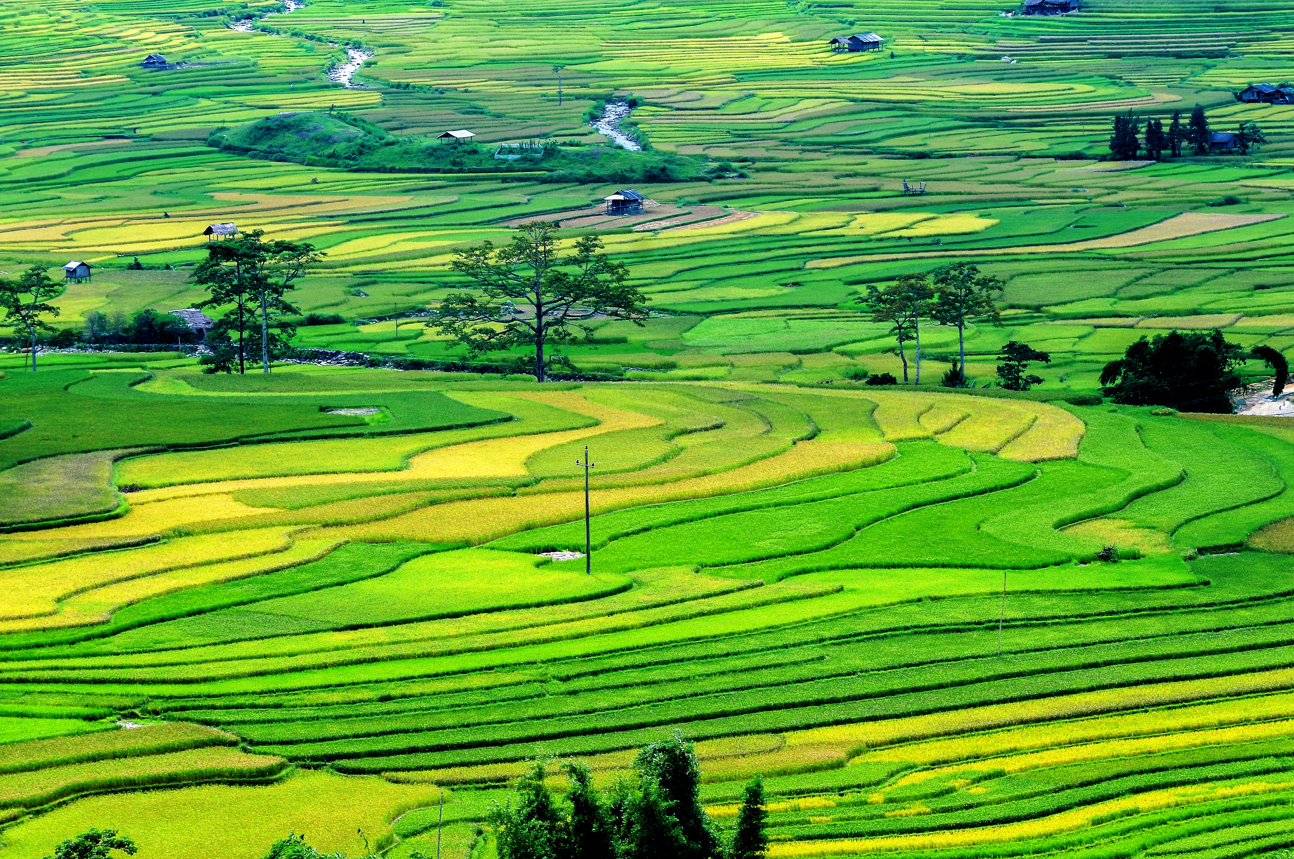 Tin tức & Giá trị cốt lõi