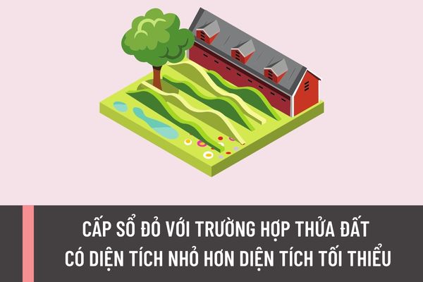 Tin tức & Giá trị cốt lõi