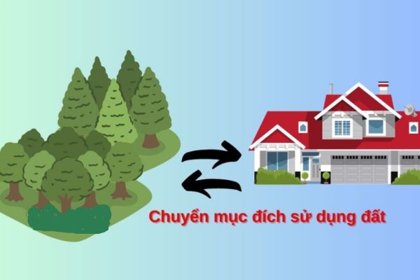 Tin tức & Giá trị cốt lõi