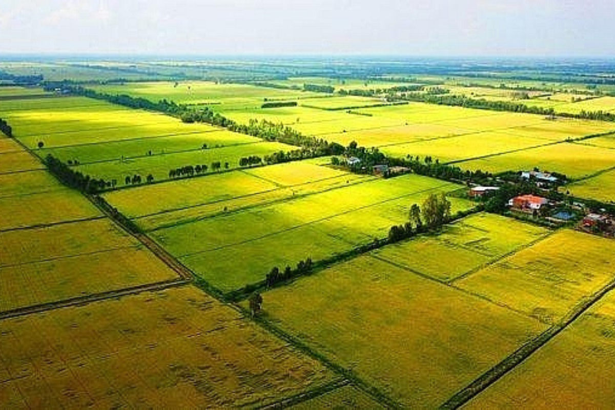 Tin tức & Giá trị cốt lõi