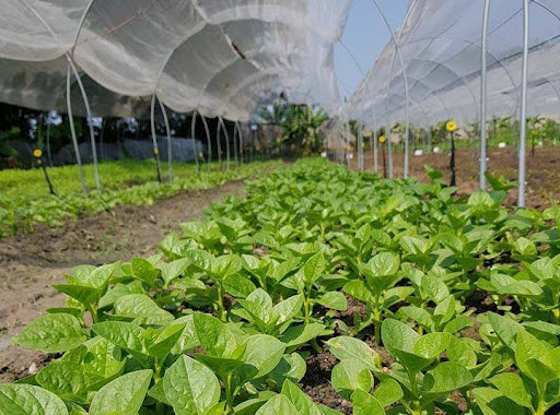 Tin tức & Giá trị cốt lõi
