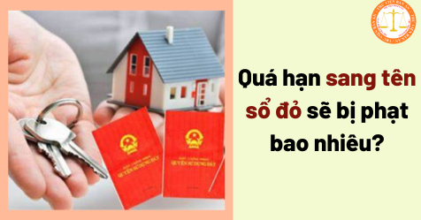 Tin tức & Giá trị cốt lõi