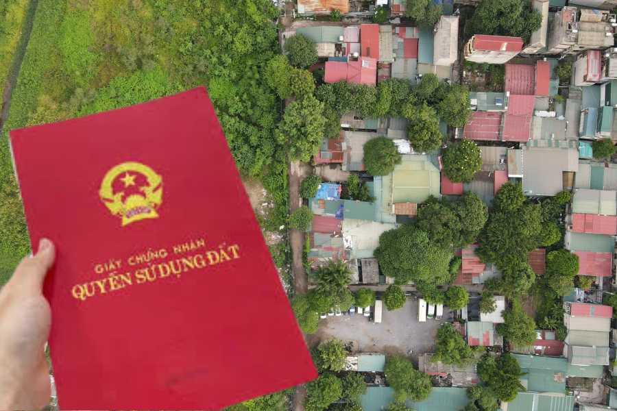 Tin tức & Giá trị cốt lõi