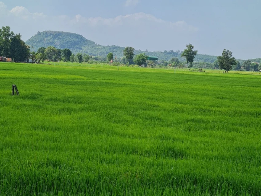 Tin tức & Giá trị cốt lõi